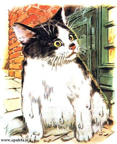 بیچاره گربه پیشی که خیس آب شده بود مجبور شد به آشپزخانه برود